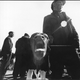 From series No. 318. 1969